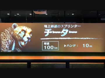 【神速】チーターを超えた男【断罪の鼻出し】