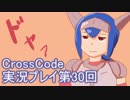 広大な世界を冒険しよう！　CrossCode実況プレイpart30
