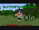 【実況プレイ】広大な世界で散歩する【Minecraft】【第二回】#10