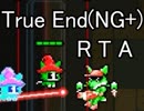 [MagiCat] True End(NG+) Any% RTA in 23:42