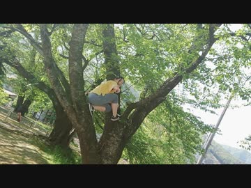 【喰子】きょうもハレバレ 踊ってみた