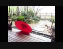 【癒し】夕立の音《30分》（睡眠用BGM・作業用BGM・ASMR）
