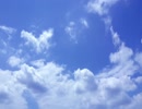 【癒し動画】木枯らしが吹く音と枯葉が舞い落ちる音《10分》（睡眠用BGM・作業用BGM・ASMR）