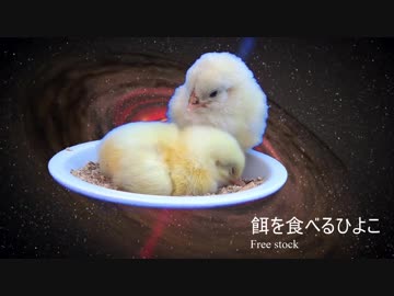 異食症の人の精神科～OD～