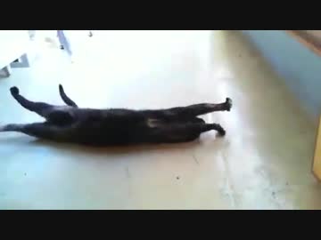 ごろ～～ん　20190530