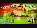 【Staxel】たまにはのんびり町づくりpart35