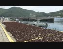 テングサ　宗村港