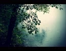 【癒し】かえるの鳴き声と静かな雨の音（睡眠用BGM・作業用BGM・ASMR）