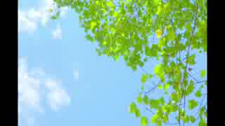 風の音《20分》（睡眠用BGM・作業用BGM・ASMR）