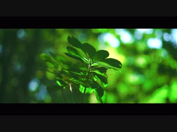 Olegano - Daylight【Music Video】