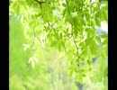 風鈴の音《20分》（睡眠用BGM・作業用BGM・ASMR）