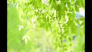 風鈴の音《20分》（睡眠用BGM・作業用BGM・ASMR）