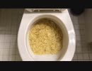 プリングルズをトイレに流してみた７