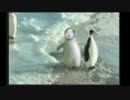 ペンギン先輩.gif