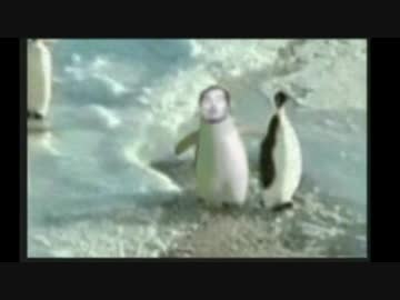 ペンギン先輩.gif