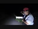 【心霊】田川幹太の1人怪奇大作戦【閲覧注意】 第二次心霊大戦争勃発か？！傷だらけの霊達が待ちわびた王の帰還？！新たなる敵が出現した！R-2