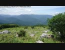 【生海月】なまくらじお【2019.5.31】