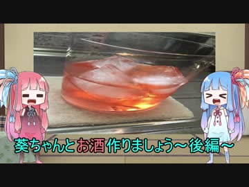 葵ちゃんのお酒作りましょう～後編～