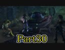 【FF10-2】私、カモメ団に入団します！☆パート30【初見実況】