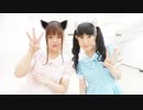 【アラサーとアラフォー】踊るぼんちネコ 出ましたパウチ!!【ザキ☆ユリ✕弥音夏】