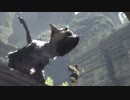 【アラサーBBAと腹ペコ大鷲】人喰いの大鷲トリコ 初見実況 part.9