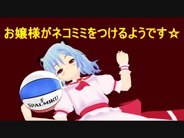 お嬢様がネコミミをつけるようです　お嬢様は新作に出たい