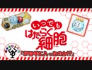 働かない人の細胞　「いつでもはたらく細胞」　14日目