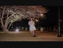 【ゆりあん】僕らの街に愛が降る夜だ【夜桜の下で踊ってみた】