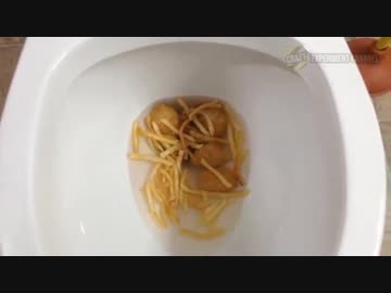 マクドナルドの食べ物をトイレに流して大量廃棄してみた