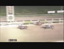 2019年5月31日園田競馬11R ＤＡＳＨ心斎橋ナイター特別(A1) エイシンヴァラー