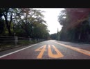 奥多摩周遊道路