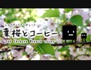 【#ドットリ】葉桜とコーヒー -the Shibuya Breeze cover- 【シカクドットトリビュート】