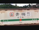 2019年05月29日2枠目　ハイキング！素晴らしい眺望があるらしい