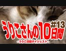 うりこさんの10日間 - 2019#13