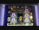 【WILD ROSES】３colors JACKPOT/The Multi Garden