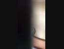 テスト投稿