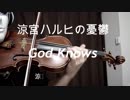 【God Knows】涼宮ハルヒの憂鬱/挿入歌【覆面バイオリンで演奏してみた】