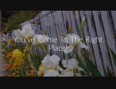 dfenz : White Vinyl Fence in Sarasota