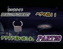 ハチの巣　テラリア！？　HOLLOW KNIGHT　#2８