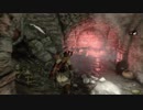 [RISE OF THE TOMB RAIDER]春になりましたが探検家になってみる part24