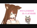 柊ちゃんの生放送を食ってしまう色欲キツネ