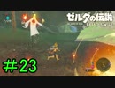 【実況】見落としが多い勇者の冒険part23【ブレスオブザワイルド】