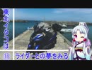 東北イタコはライダーとの夢をみる　～四国カルスト編　その11～