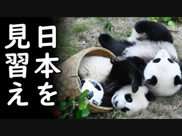 韓国のサッカーU18代表侮辱行為に怒りが収まらぬ中国が韓国へ復讐を誓う！宗主国様激オコ、文在寅これどうすんの？