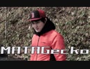 MATAGecko