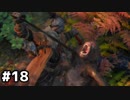 【実況】ゲーム下手でも遊びたいSEKIRO　#18