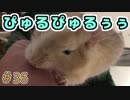 どさくさに紛れてペットを紹介するやつ。【ぼくらのアイランド】＃36