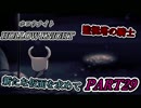監視塔の騎士　新たな仮面を求めて　HOLLOW KNIGHT　#29