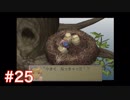 半身を求めてブレスオブファイアⅣをほぼ初見実況　part25