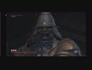 Blood borne　悪夢に囚われて侵入し続ける46